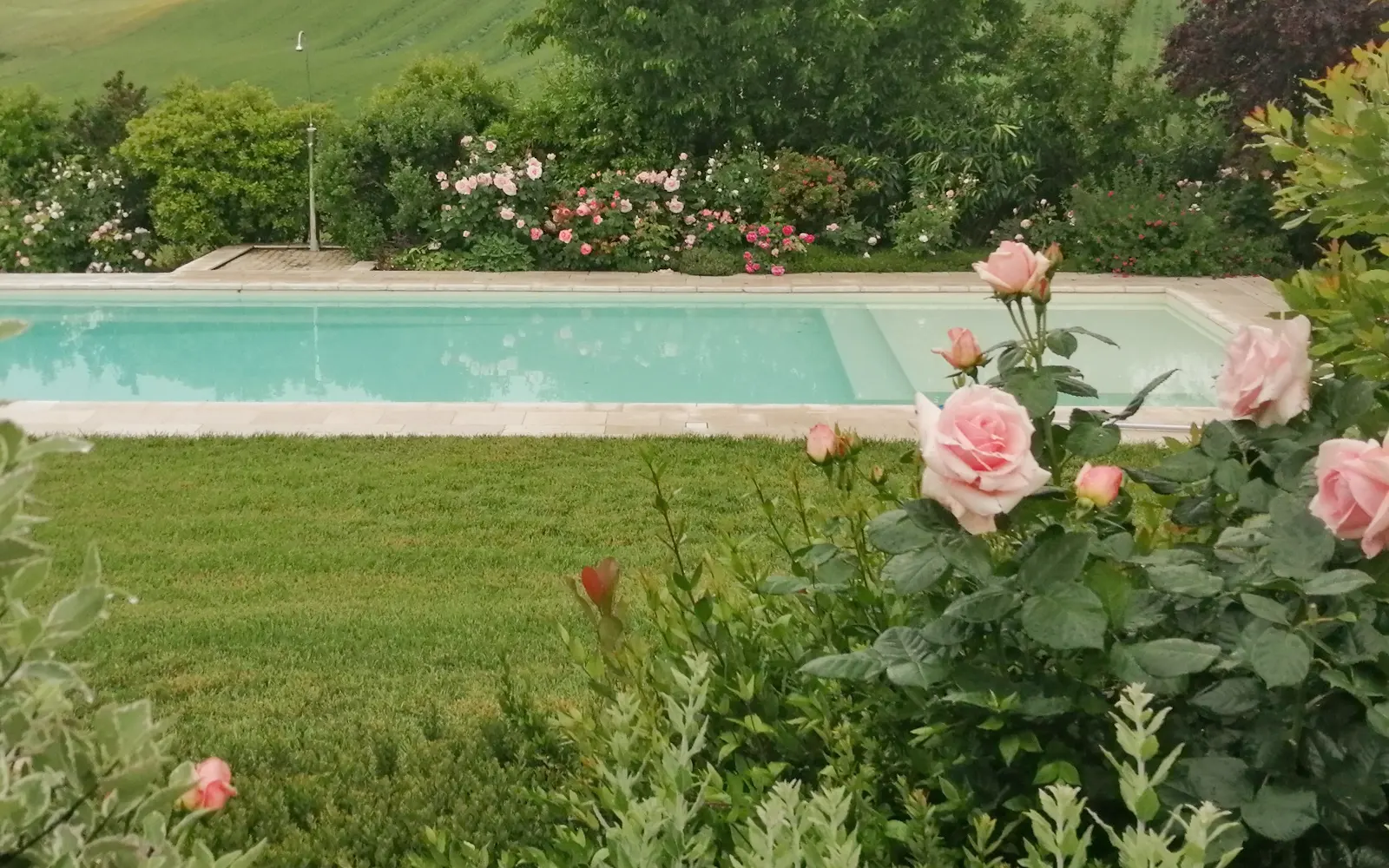 La Piscina il Sambuco Marche Morrovalle