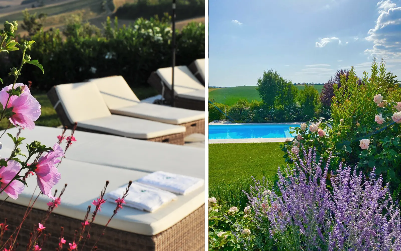 La Piscina il Sambuco Marche Morrovalle