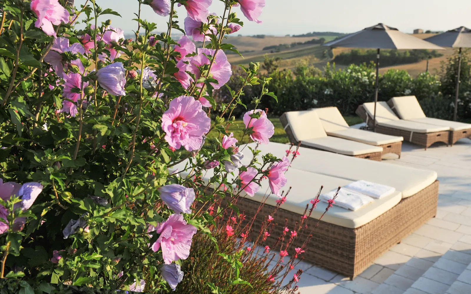 La Piscina il Sambuco Marche Morrovalle